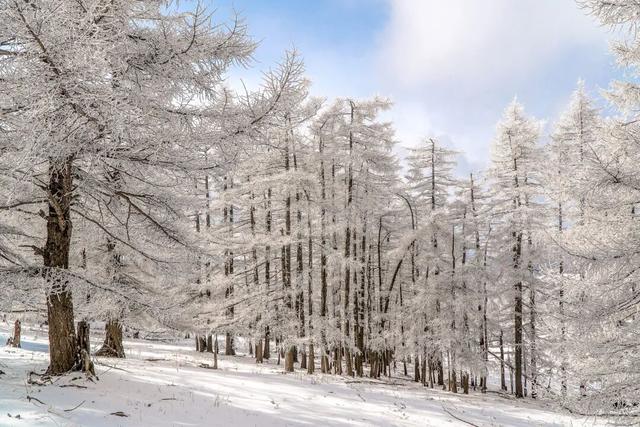 【文明旅游】太原市娄烦县：云顶之上，雪落成诗，来娄烦云顶山，遇见冬日童话