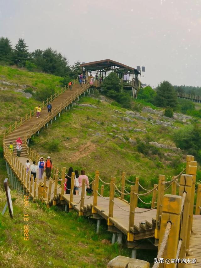 7）山西阳城析城山圣王坪，在云端草甸邂逅狼毒花的美，与千年传