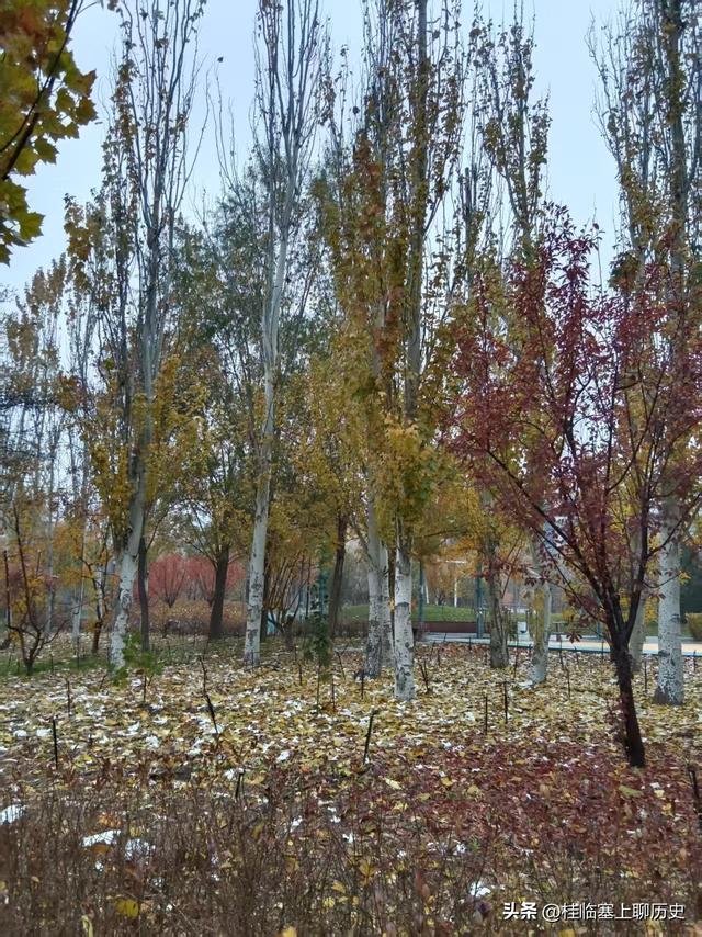 威观宁夏：为银川“赛江南”正名！期待这样的银川吗？