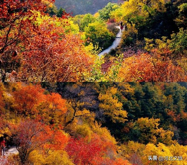 来保定，湖光山色+古镇烟火全都有！