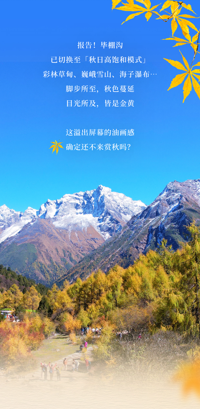 都不白来！毕棚沟秋色浓度爆表啦~