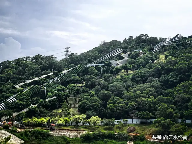 一个五A级植物园，到底藏着哪些值得看的地方，这是最实在的攻略