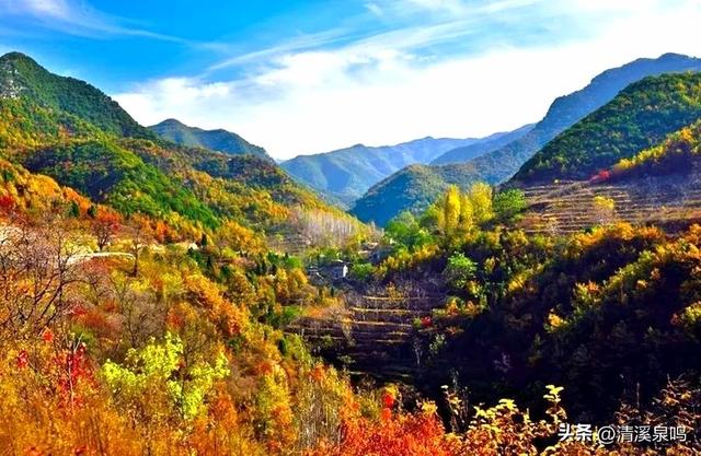 藏在诗行里的秋山“丰”景——品七律《游九峰溪下山村梯田》之感