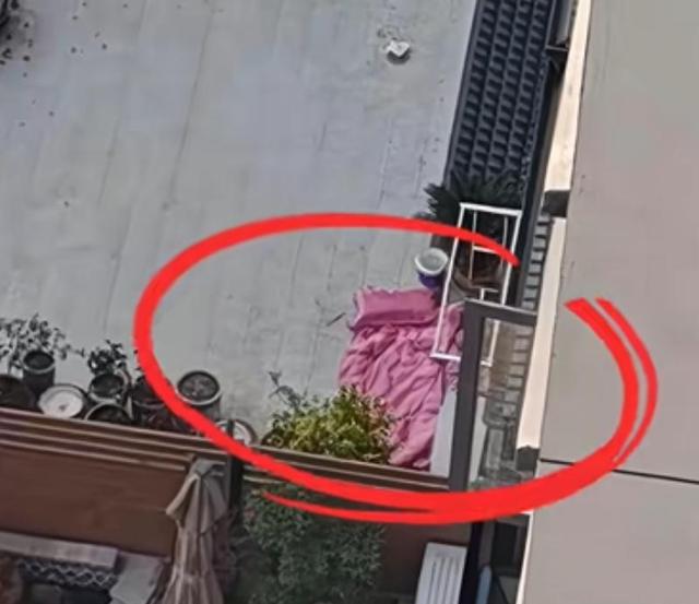 越扒瓜越大！女教师跳楼再添猛料，原来不止被父母逼婚这么简单