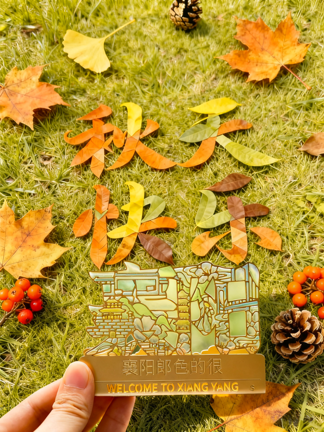 低头！捡出一片秋日的襄阳城！