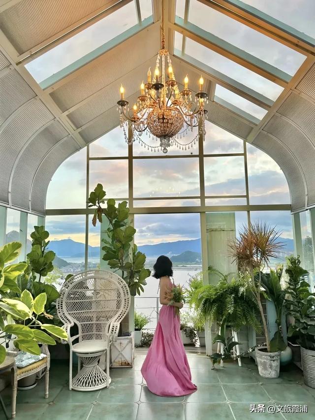 霞浦花沁石,海边莫奈花园的秋冬独属烂漫