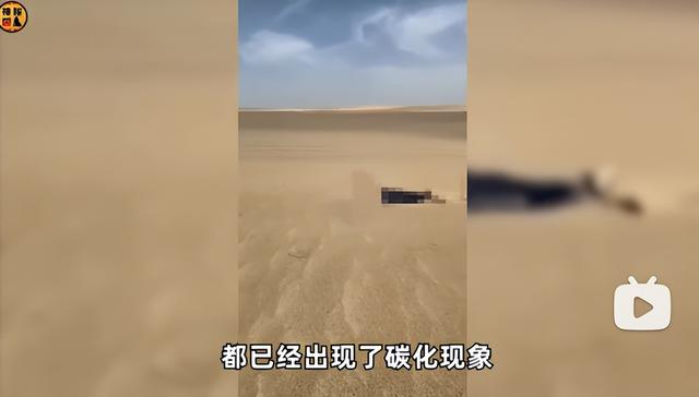 170公里、3000米海拔，鳌太线又出事：3人强行穿越，1人坠崖身亡