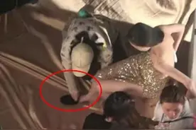 浑身公主病、苛待助理、耍大牌，这些明星从哪来的优越感？图片