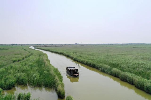 【黄河口生态旅游区】邂逅多彩黄河口，赴一场自然与生命的浪漫之约