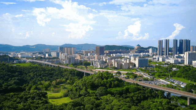 光明这个公园，原来这么好逛！