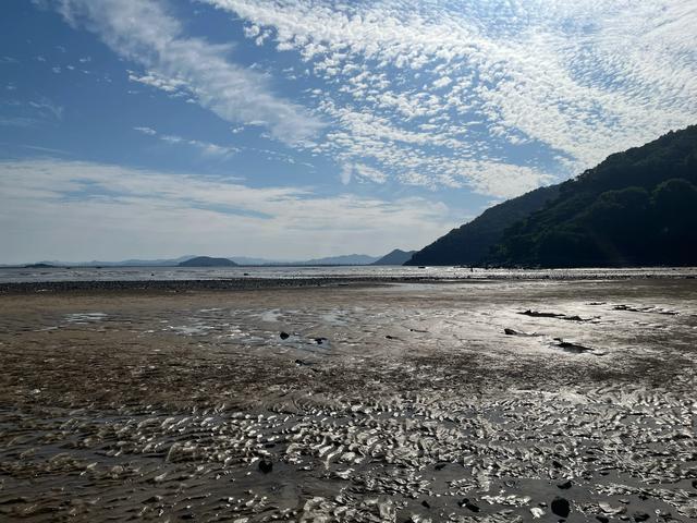 退休夫妻自驾霞浦之小皓沙滩、三沙光影、花竹村、东壁村看晚霞
