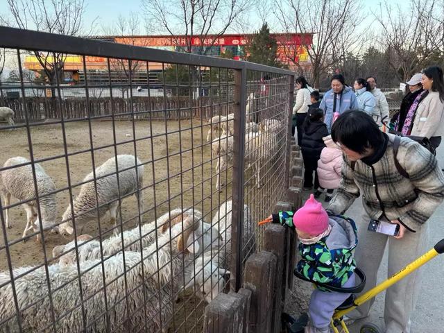 市民太原动物园，享受冬日的宁静与温馨