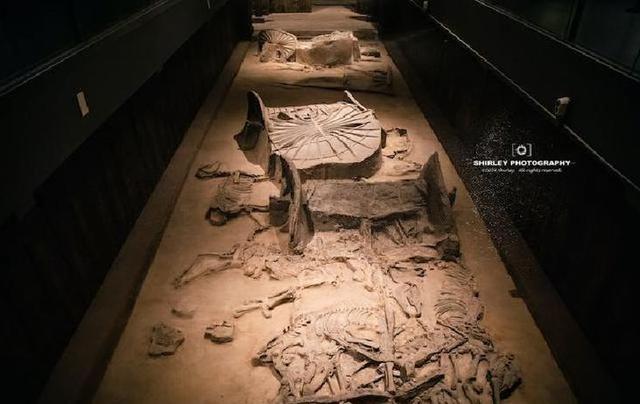 51年前北京勘探石油，发现万根木桩垒成地宫震惊全国