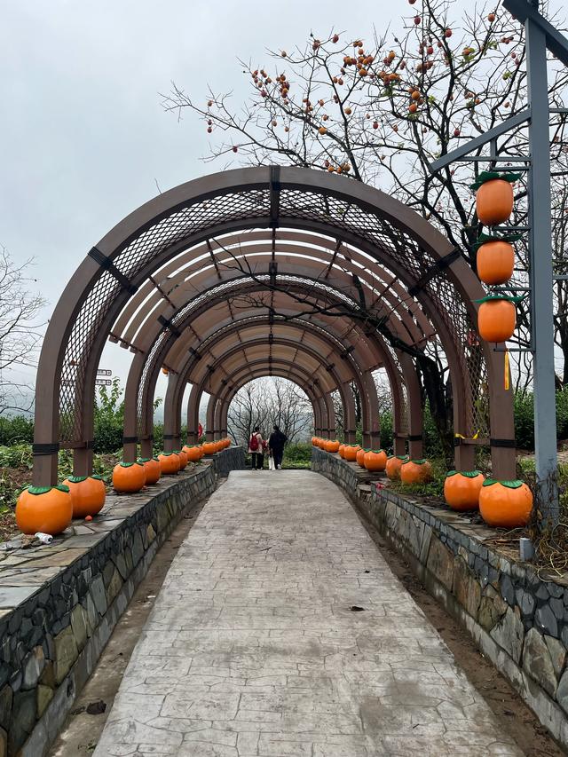 退休夫妻自驾温岭、霞浦、泰顺、永嘉、嵊州之总结