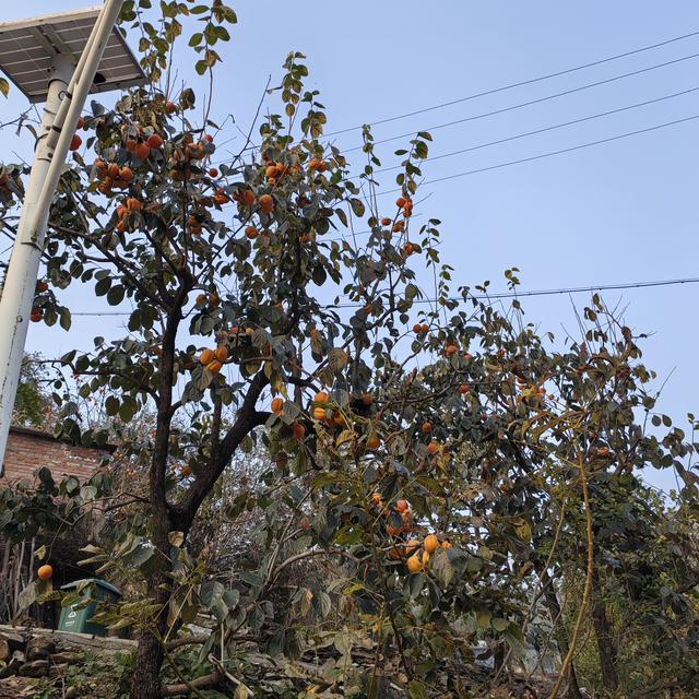 闲话北京的山地徒步<一>