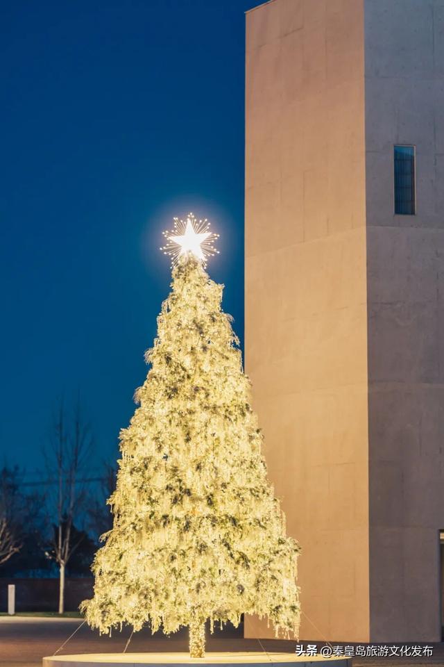阿那亚童话月来了！岁末海边的童话梦境，守护每一个纯真的你