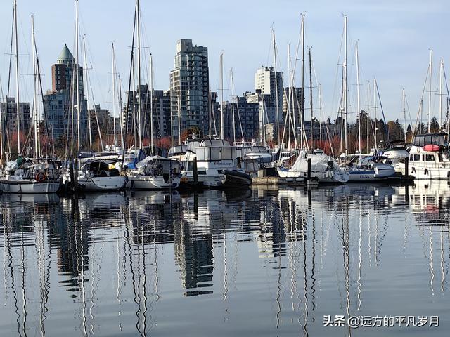 温哥华游记（四）