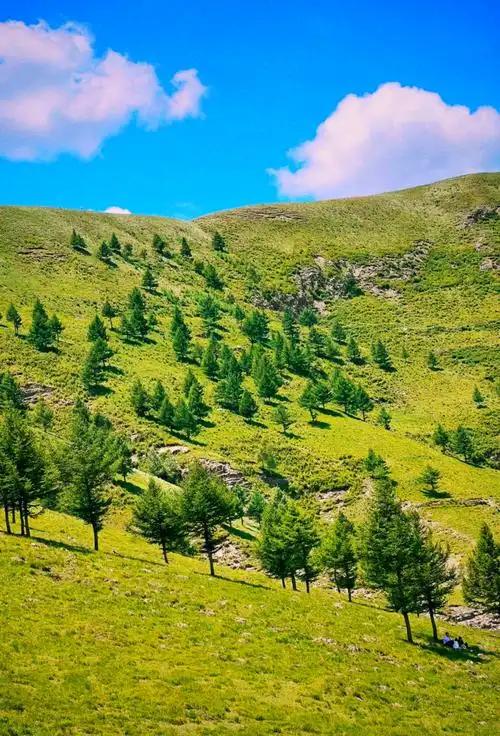 国庆“牛马”扎进山！不挤5A景区，年轻人徒步团爆满！