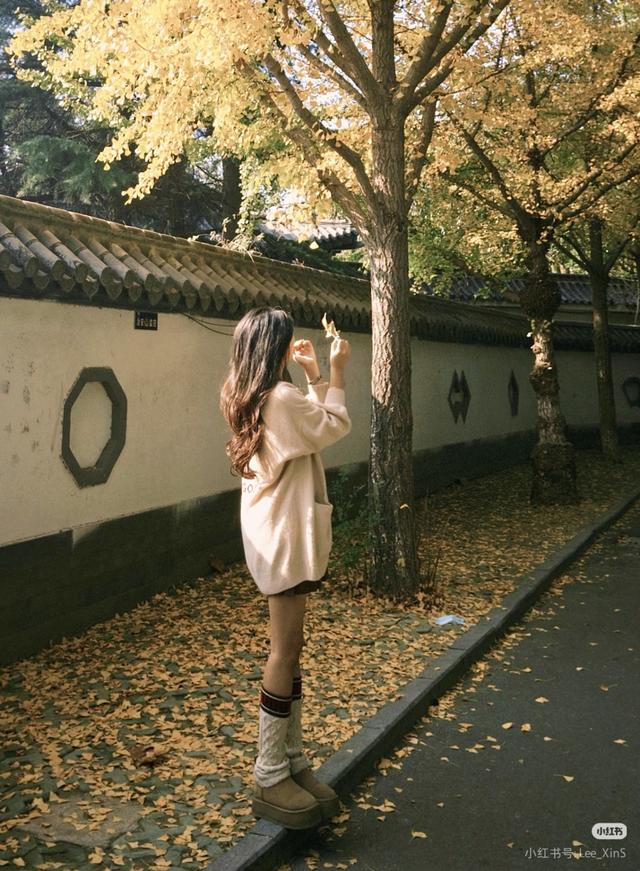 临沂免费赏秋好去处，错过你将后悔一整年！