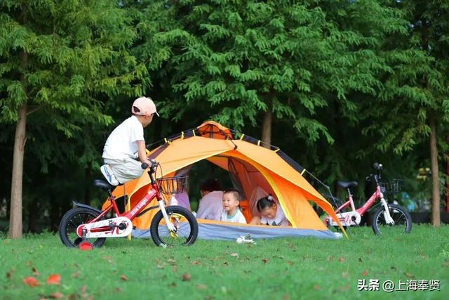 青村这些纳凉胜地，你都知道吗？