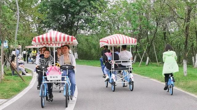 成都出发最快0.5h，山林湖岛间露营烧烤，野趣又好玩！