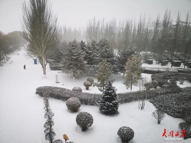 雪落平城!一场“认真的初雪”,给大同裹上冬日白纱~