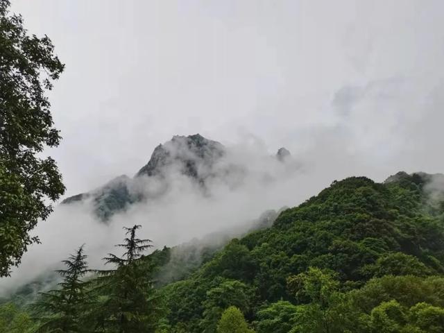 静秋雨韵:红河谷的诗意洗礼