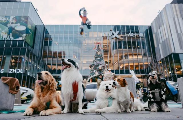 杭州人厉害了！比“银泰”更好的商场，在杭州出现了