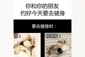 健身房的黑话能有多骚？不懂都不好意思健身了......图片