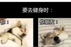 健身房的黑话能有多骚？不懂都不好意思健身了......图片