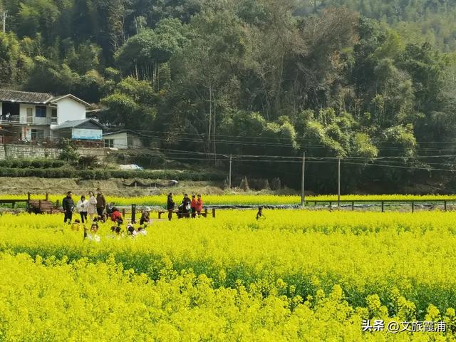 每日一村:霞坪村——荷香漫谷的畲乡秘境,诗画交织的夏日桃源