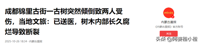 突发！武侯祠百年古柳轰然倒伏，两名游客被砸送医，现场细节曝光