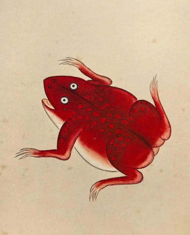这画，真实又让人脑洞大开！