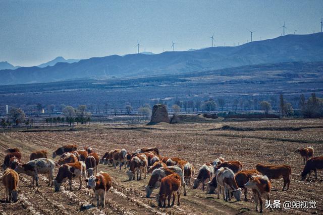 朔城区，大好河山谁建设