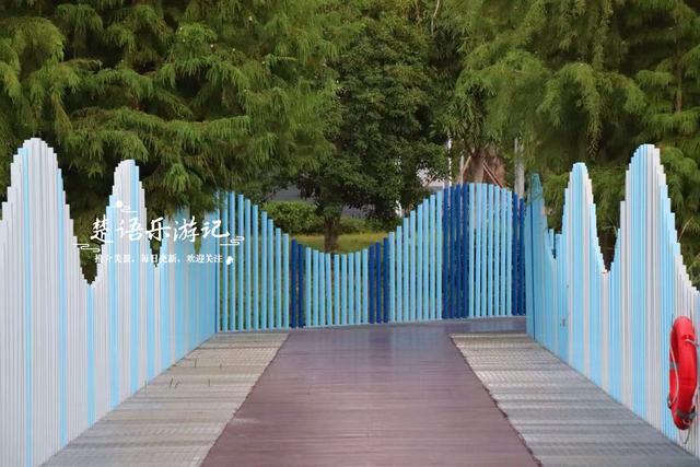 宁波镇海又发现一处粉黛园，临湖而居景色更秀丽，周边美景更多