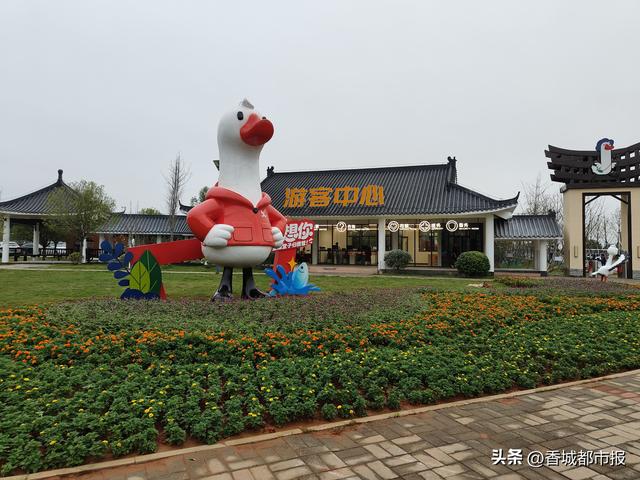 微度假自然秘境，迎接四面八方游客——咸宁向阳湖国家湿地公园即将焕新开园