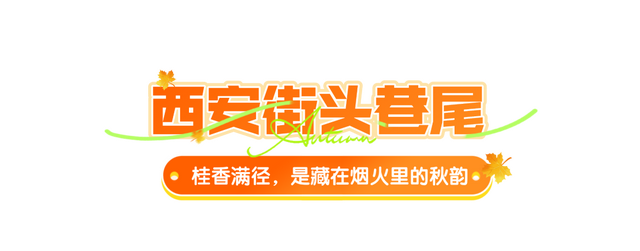 绝美！西安的秋天已美到next level...