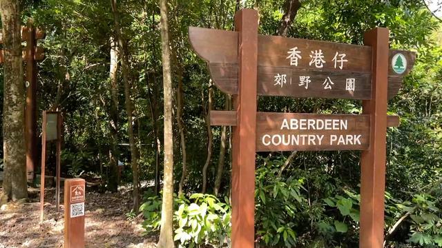 香港畸形的城市设计：大量民众在睡劏房，绿化却超过东京和首尔
