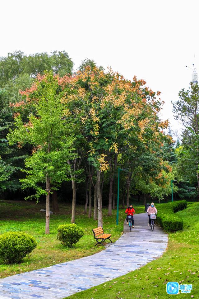 浞景无边，快乐亦无边~