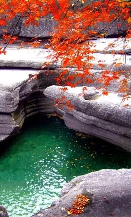 成都出发2.5h刹拢最绝红叶之城！秋色媲美九寨，一城吃够三省美食！更有山林温泉泡过瘾！