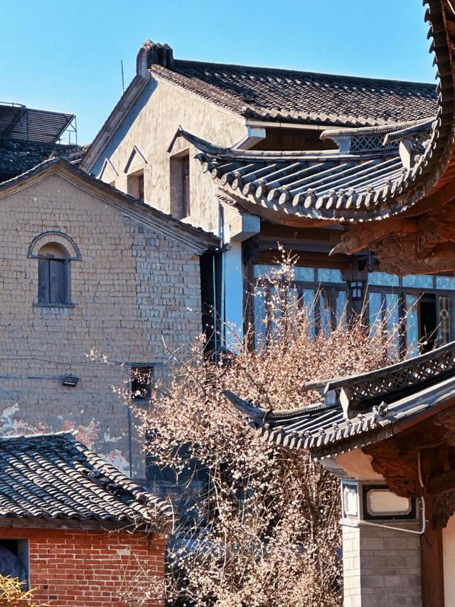 腾冲银杏季｜4天5夜黄金攻略，把金黄、温泉、烟火全打包～