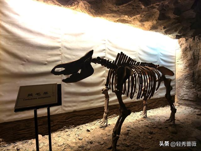 塞上江南宁夏，一个被严重低估的旅游大省