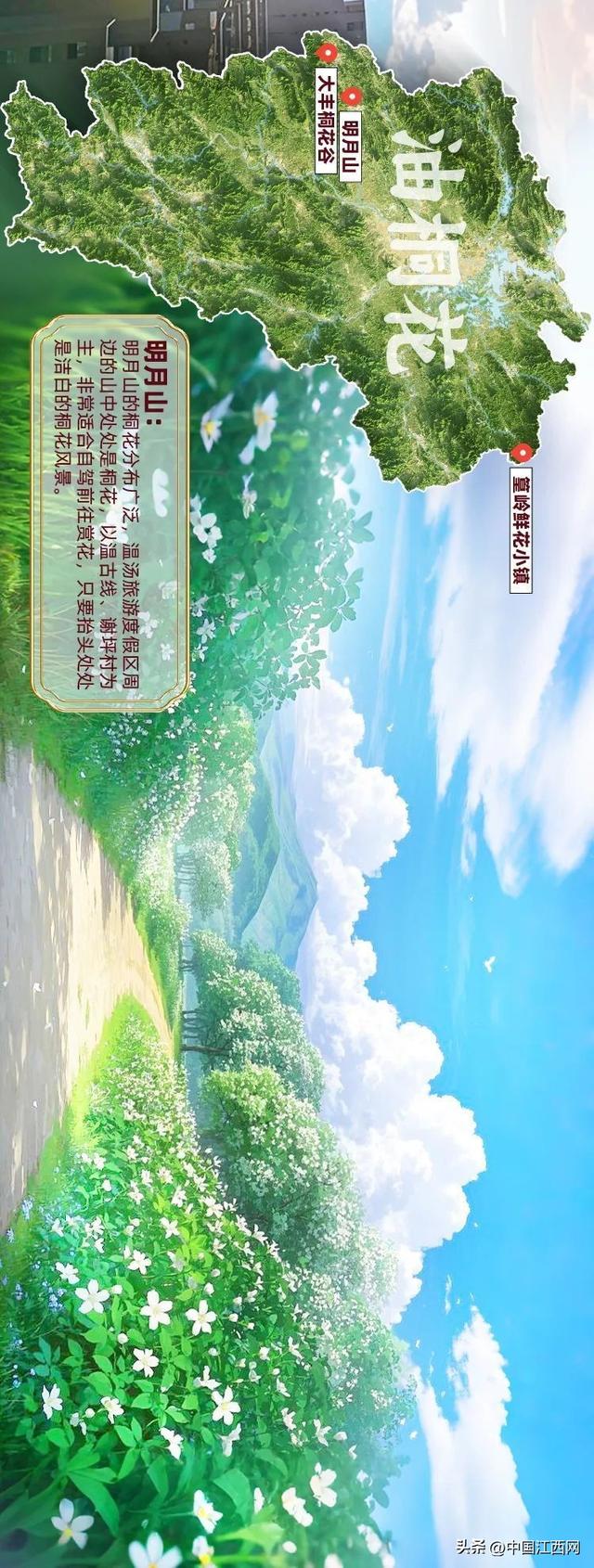 探春花丨江西春日赏花地图正式发布！