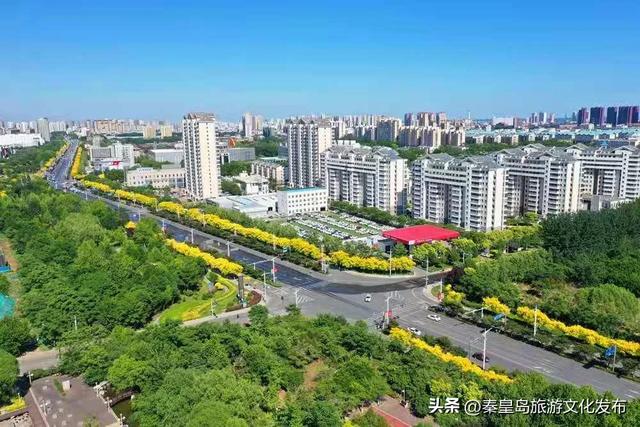今年暑期，秦皇岛文旅热度攀升，持续“霸榜”！一起回顾秦皇岛夏日记忆~