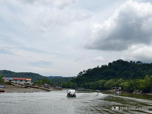 马来西亚(35)砂拉越州⑨峇哥国家公园徒步线路