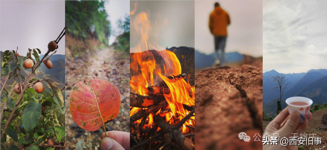 高伟：镇安月西沟之行