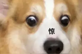 老手机号套餐太贵又不想换号？你会怎么办？图片