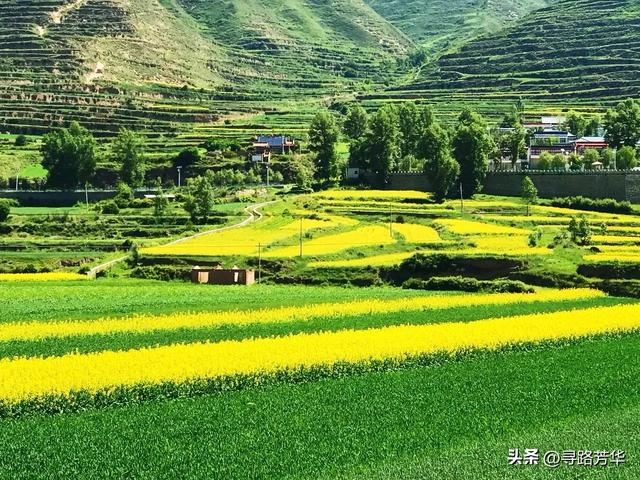 在陇南的夜色里，行走于白龙江畔