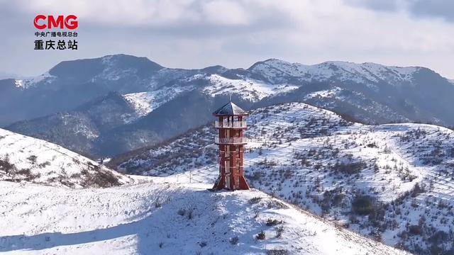 日照金山、水墨画卷、雪林撞色!重庆冬日雪景,每一帧都想保存
