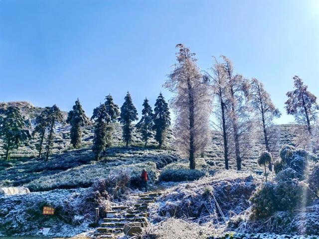 我说白了，萧山你是不是有点过分了！
